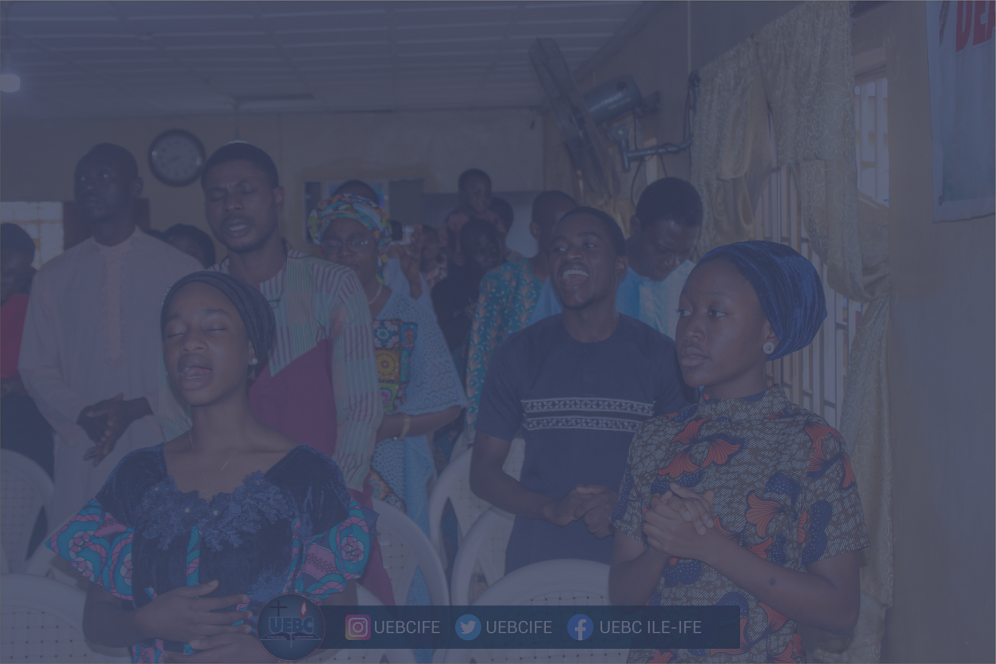 Non Profit Wordpress Theme