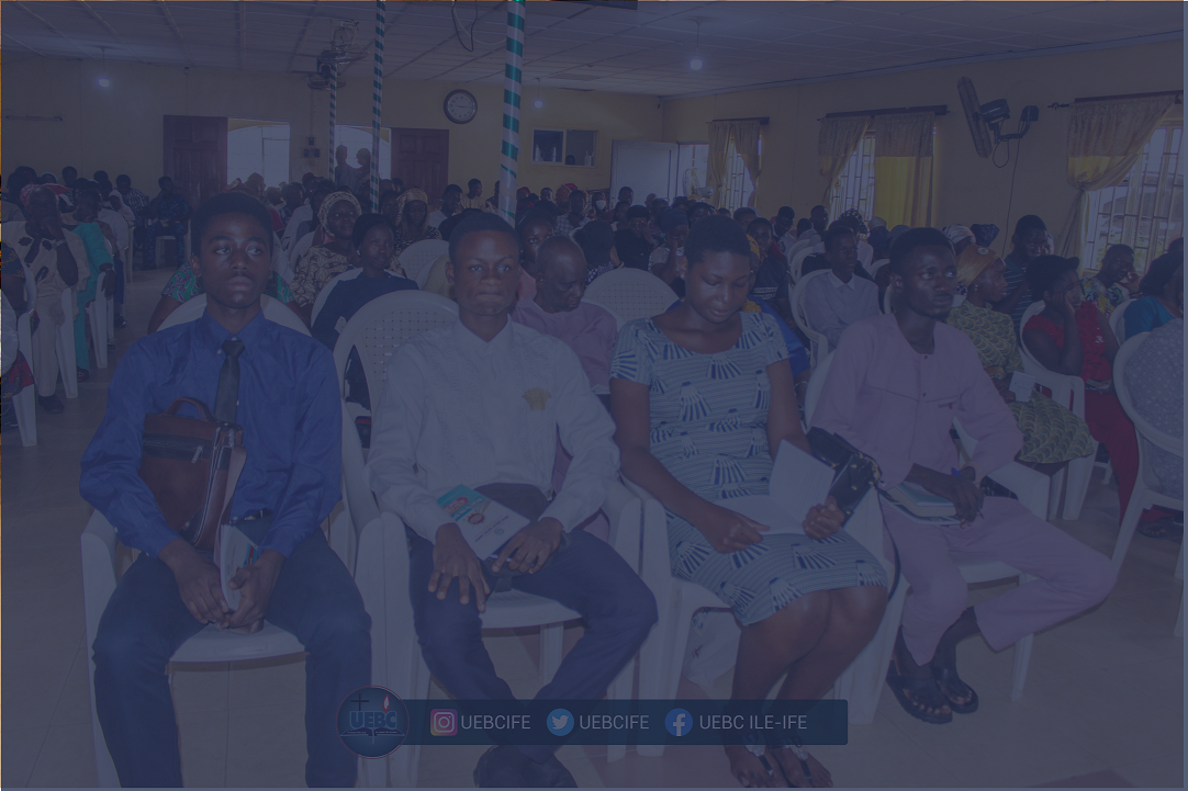 Non Profit Wordpress Theme